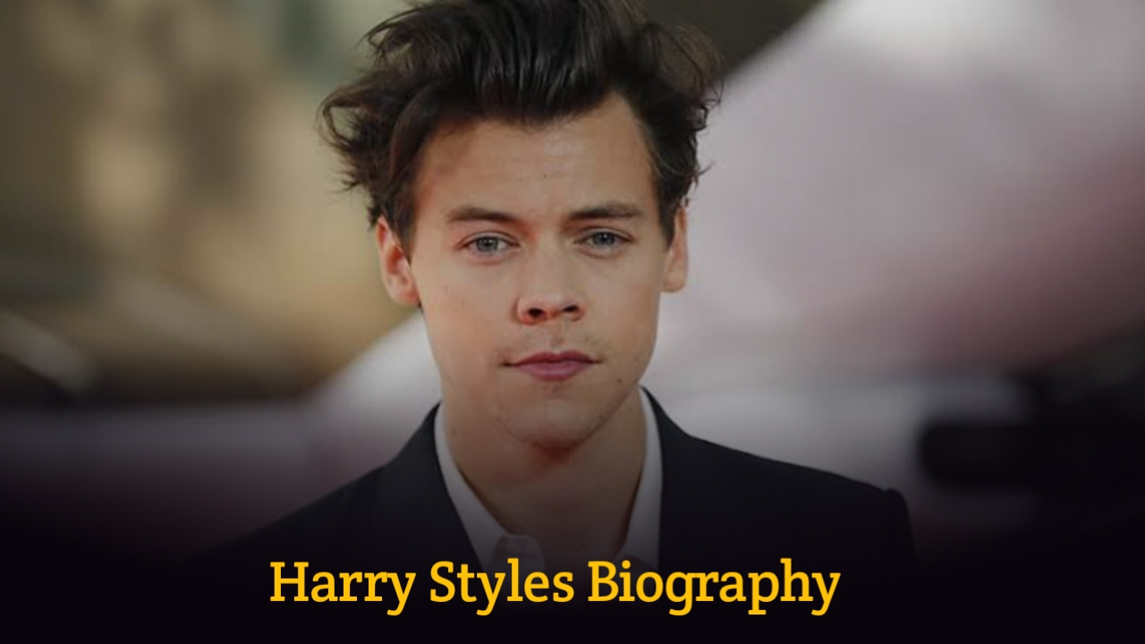 harry styles biography essay